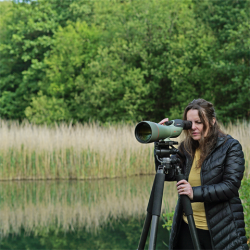 VerrekijkerShop | Kowa Spottingscope TSN-99S Prominar Kit met TE-11WZ II WA Oculair