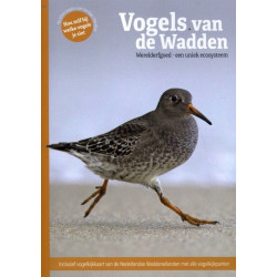 Vogels Van De Wadden (Boek)