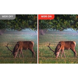 HikMicro Habrok Pro HQ50LN