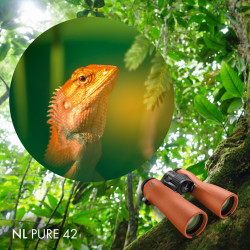 Swarovski NL Pure 8x42 Burnt Orange