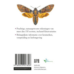 Compactgids Vlinders