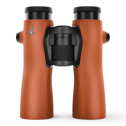 Swarovski NL Pure 8x42 Burnt Orange