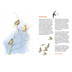 Zakgids Vogels van Nederland en België Zakgids Vogels van Nederland en België