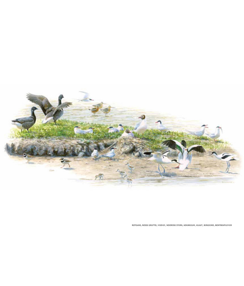 Het product liever eerst testen? Kom dan eens langs bij ons in de winkel Het product liever eerst testen? Kom dan eens langs bij ons in de winkel