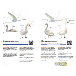 Zakgids Vogels van Nederland en België Zakgids Vogels van Nederland en België