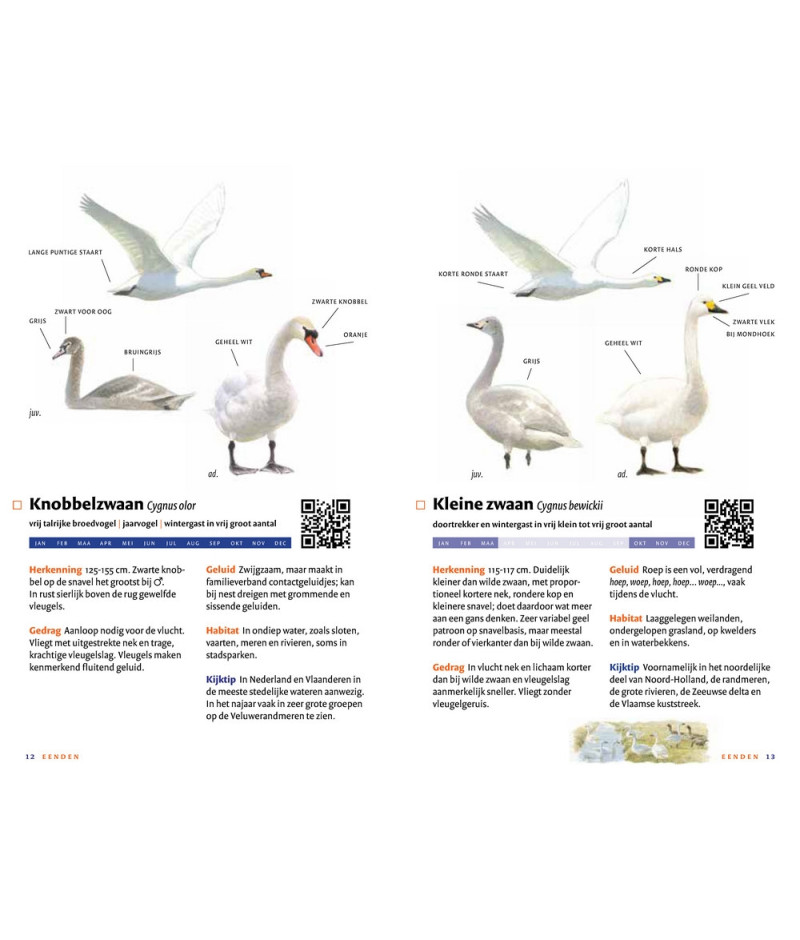 Het product liever eerst testen? Kom dan eens langs bij ons in de winkel Het product liever eerst testen? Kom dan eens langs bij ons in de winkel