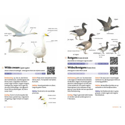 Zakgids Vogels van Nederland en België Zakgids Vogels van Nederland en België