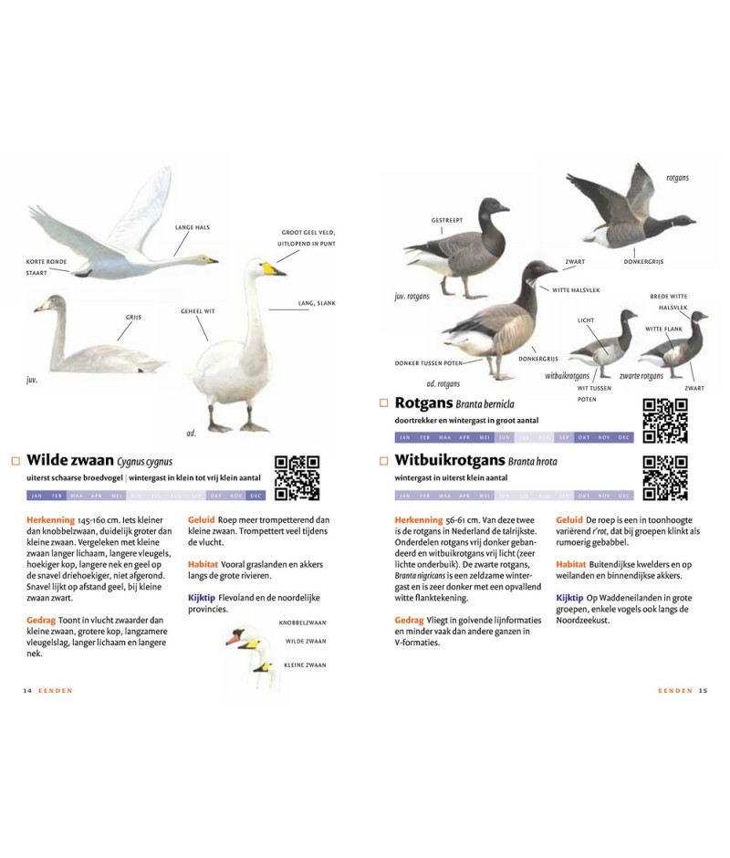 Het product liever eerst testen? Kom dan eens langs bij ons in de winkel Het product liever eerst testen? Kom dan eens langs bij ons in de winkel