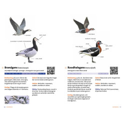 Zakgids Vogels van Nederland en België Zakgids Vogels van Nederland en België