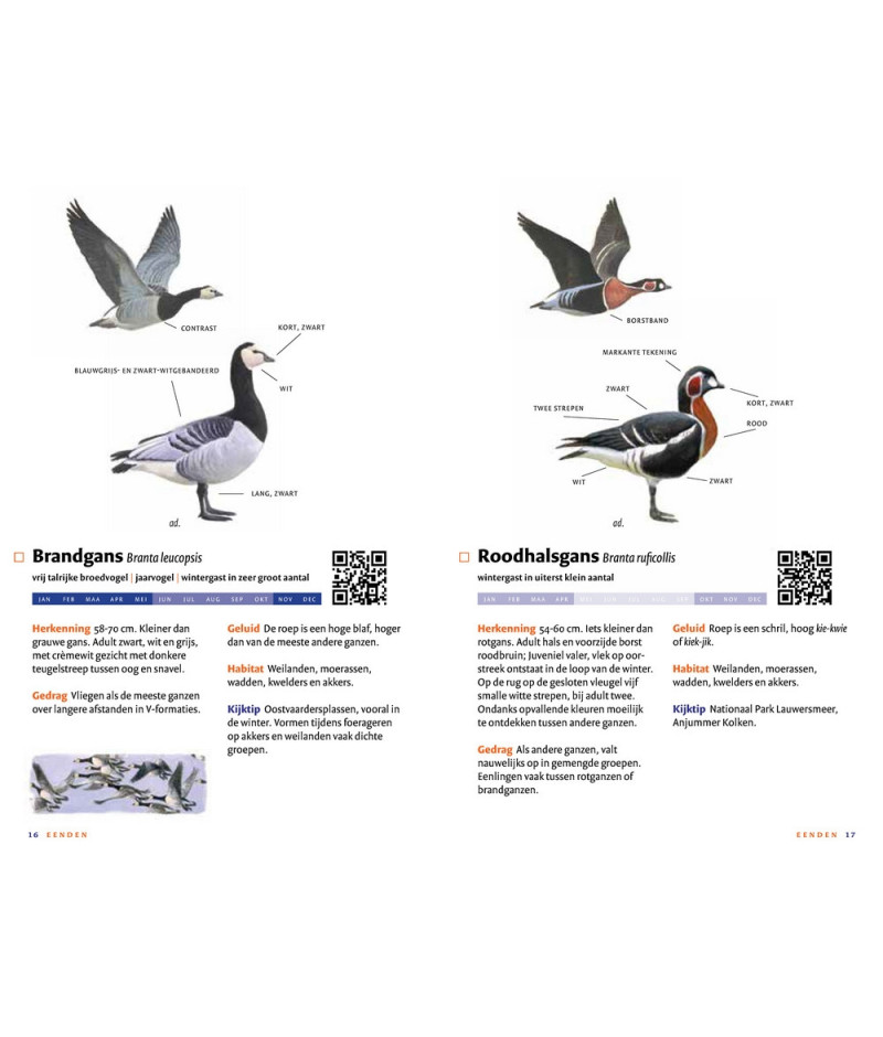 Het product liever eerst testen? Kom dan eens langs bij ons in de winkel Het product liever eerst testen? Kom dan eens langs bij ons in de winkel