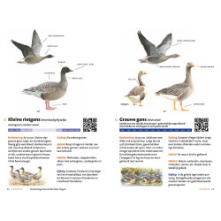 Zakgids Vogels van Nederland en België Zakgids Vogels van Nederland en België