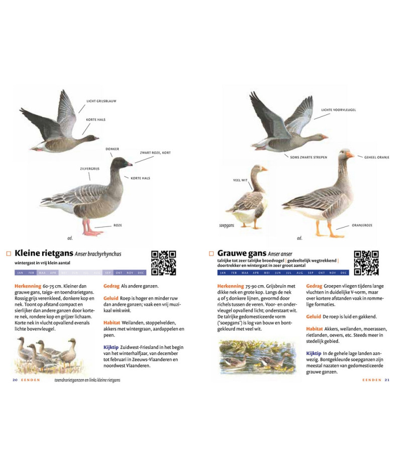 Het product liever eerst testen? Kom dan eens langs bij ons in de winkel Het product liever eerst testen? Kom dan eens langs bij ons in de winkel