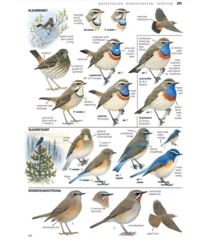 Het product liever eerst testen? Kom dan eens langs bij ons in de winkel