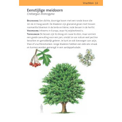 Compactgids Wildplukken