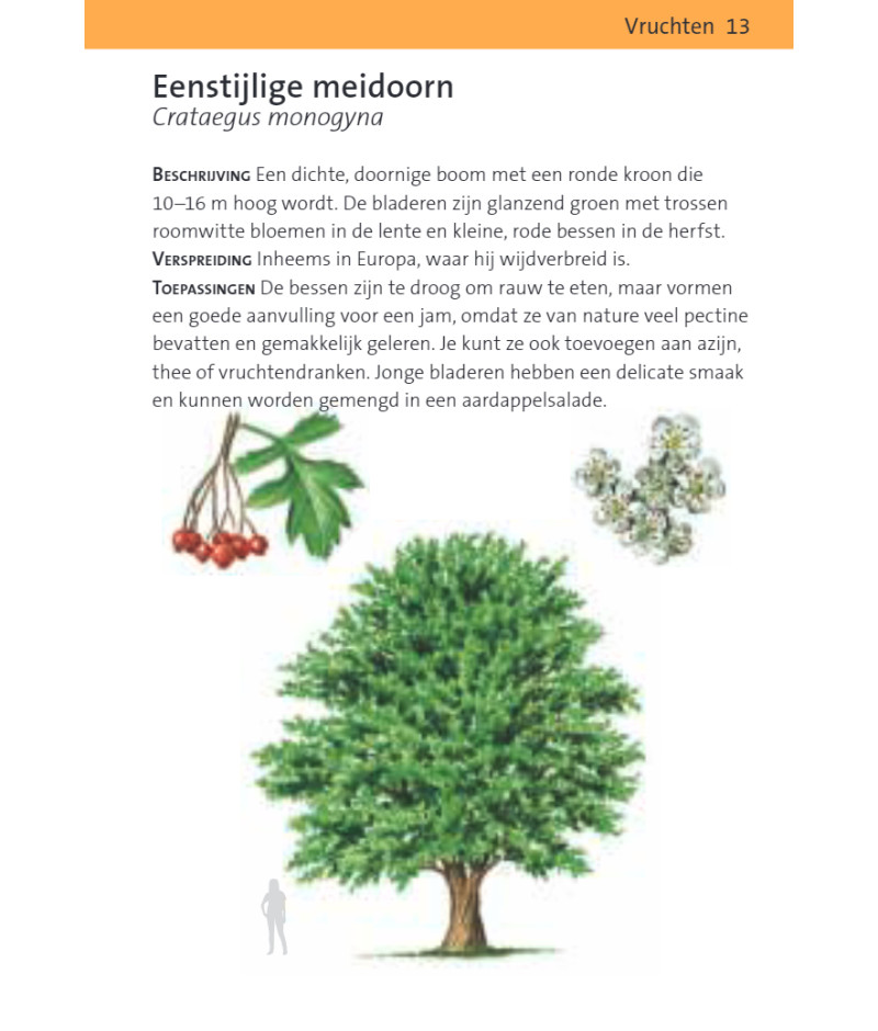 Het product liever eerst testen? Kom dan eens langs bij ons in de winkel