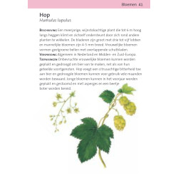 Compactgids Wildplukken