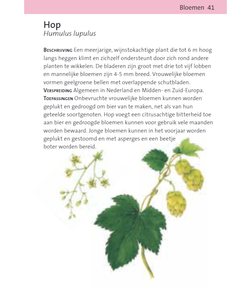 Het product liever eerst testen? Kom dan eens langs bij ons in de winkel