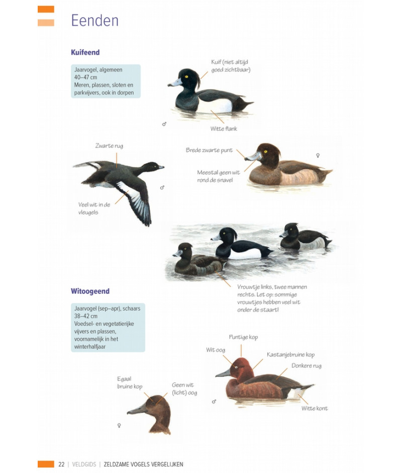 Het product liever eerst testen? Kom dan eens langs bij ons in de winkel