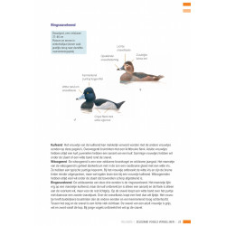 Veldgids Zeldzame Vogels Vergelijken KNNV