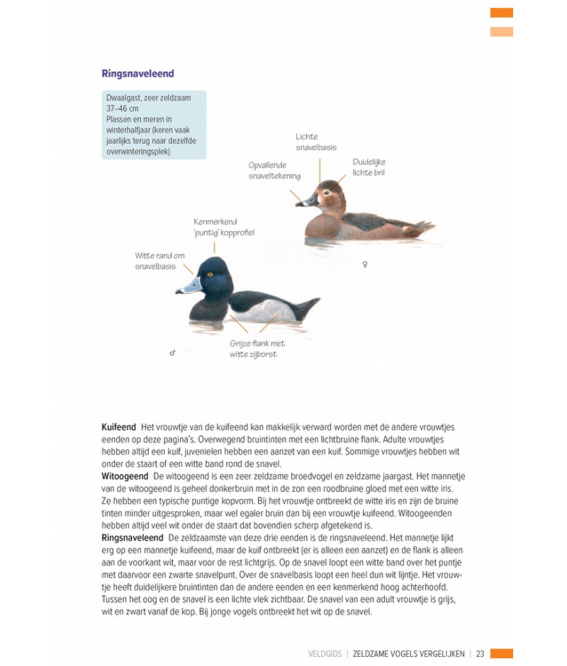 Het product liever eerst testen? Kom dan eens langs bij ons in de winkel