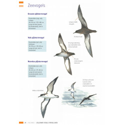 Veldgids Zeldzame Vogels Vergelijken KNNV
