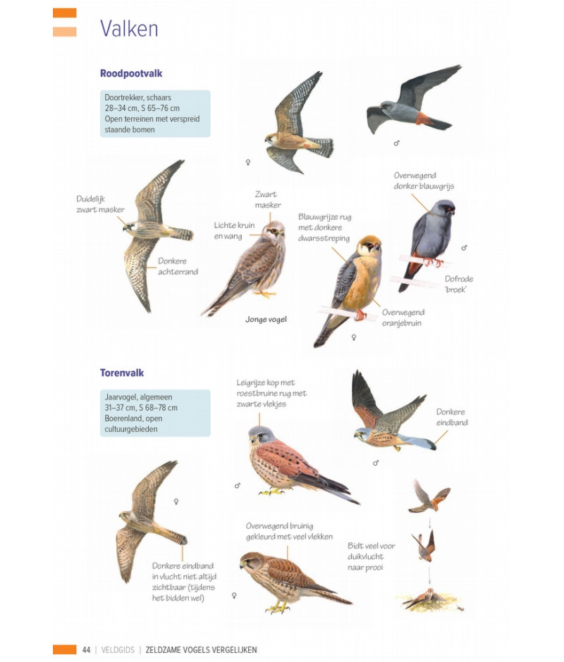 Het product liever eerst testen? Kom dan eens langs bij ons in de winkel