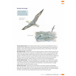 Veldgids Zeldzame Vogels Vergelijken KNNV