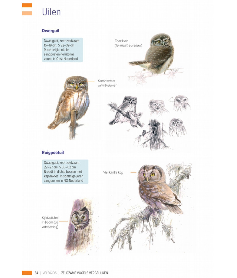 Het product liever eerst testen? Kom dan eens langs bij ons in de winkel