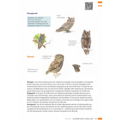 Veldgids Zeldzame Vogels Vergelijken KNNV