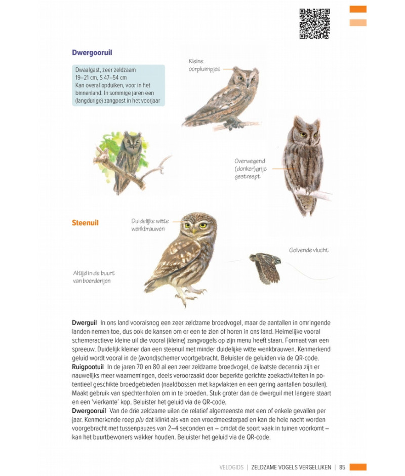 Het product liever eerst testen? Kom dan eens langs bij ons in de winkel