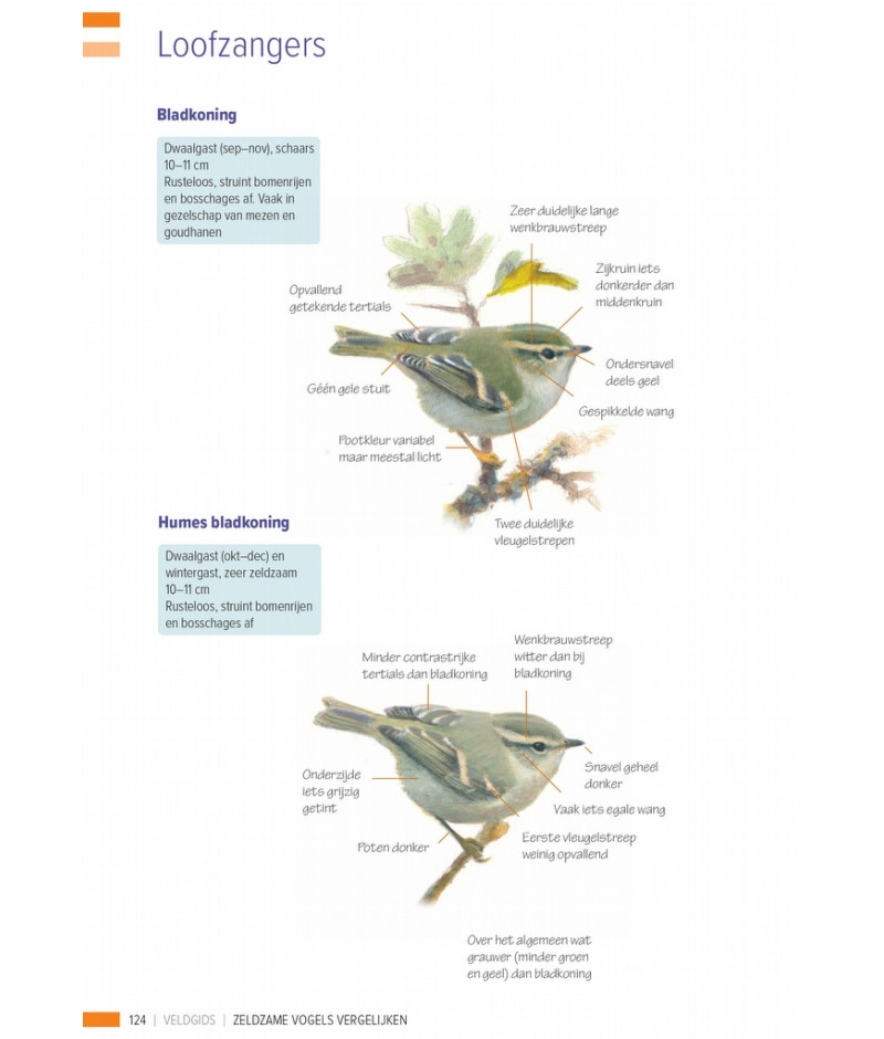 Het product liever eerst testen? Kom dan eens langs bij ons in de winkel