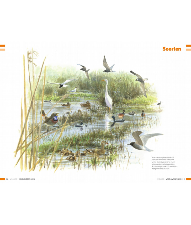 Het product liever eerst testen? Kom dan eens langs bij ons in de winkel