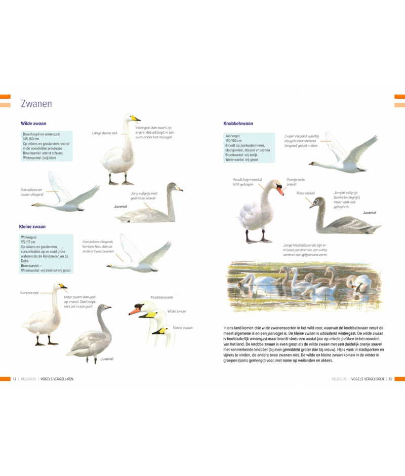 Het product liever eerst testen? Kom dan eens langs bij ons in de winkel