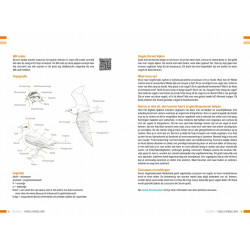 Veldgids Vogels Vergelijken KNNV