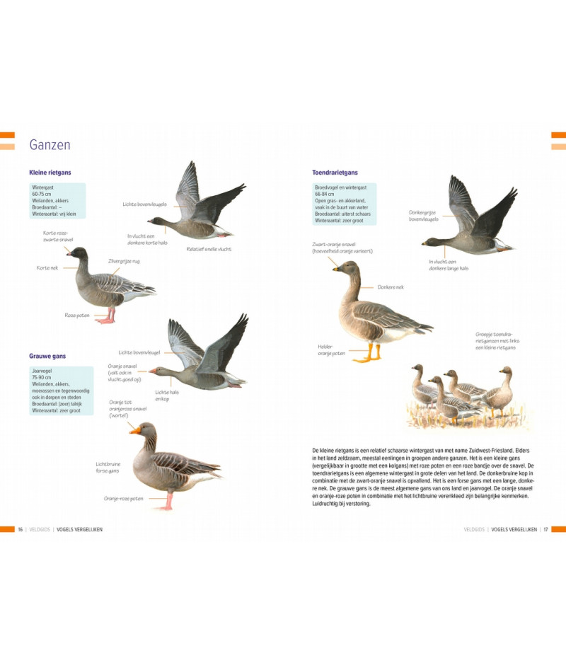 Het product liever eerst testen? Kom dan eens langs bij ons in de winkel