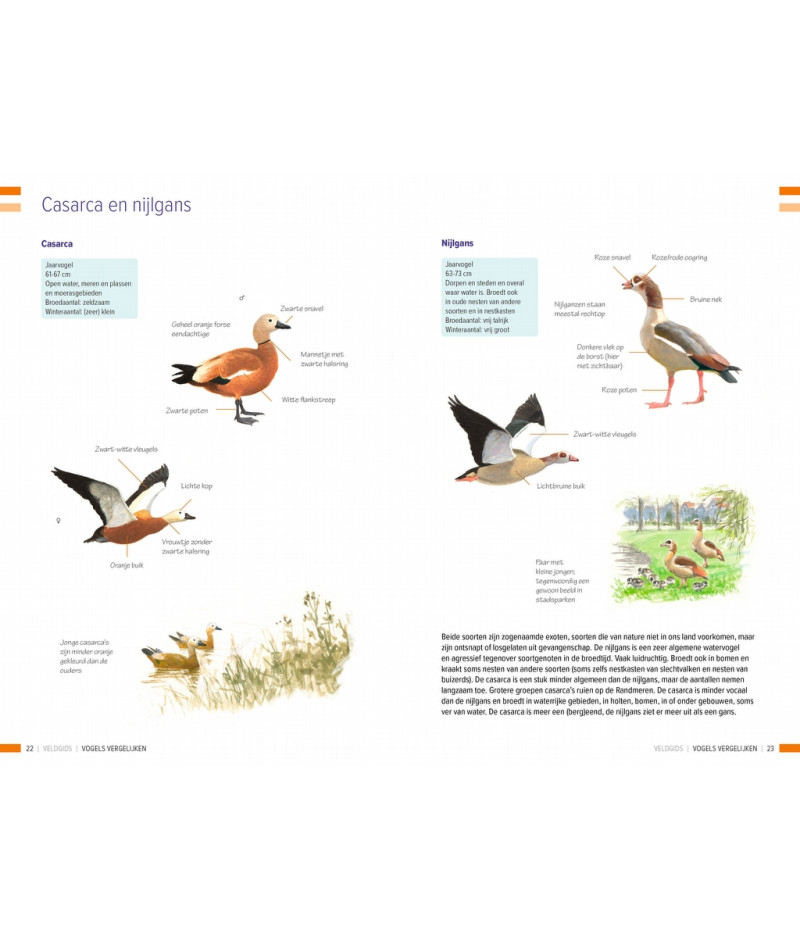 Het product liever eerst testen? Kom dan eens langs bij ons in de winkel