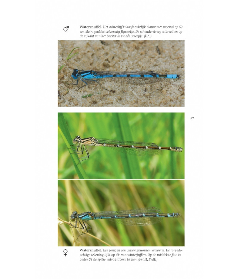 Het product liever eerst testen? Kom dan eens langs bij ons in de winkel