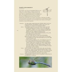 Veldgids Libellen KNNV