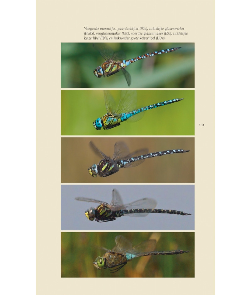 Het product liever eerst testen? Kom dan eens langs bij ons in de winkel