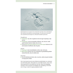 VerrekijkerShop | Diersporengids