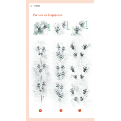 VerrekijkerShop | Diersporengids