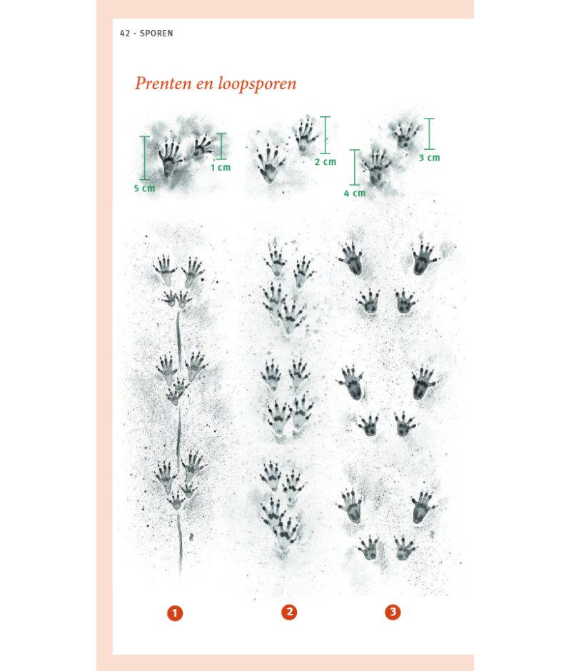 Het product liever eerst testen? Kom dan eens langs bij ons in de winkel