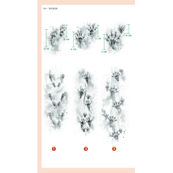 VerrekijkerShop | Diersporengids