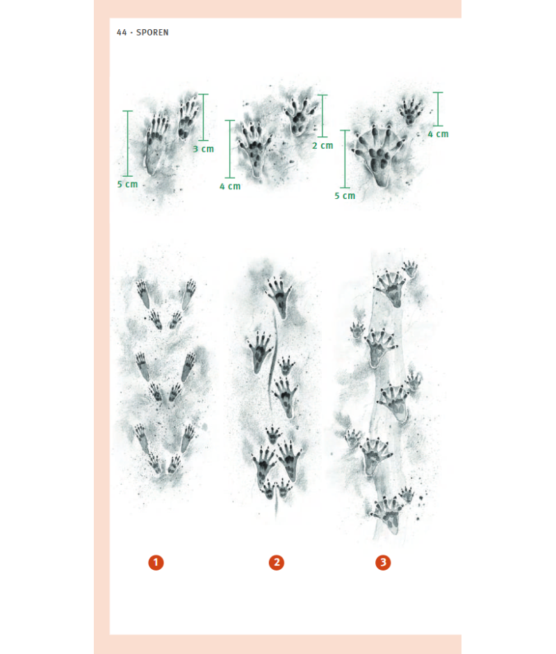 Het product liever eerst testen? Kom dan eens langs bij ons in de winkel