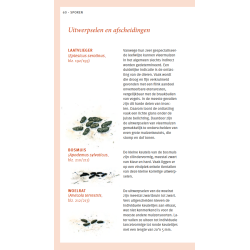 VerrekijkerShop | Diersporengids