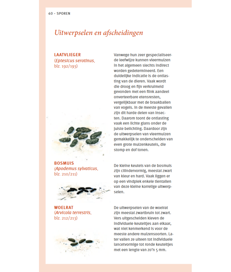 Het product liever eerst testen? Kom dan eens langs bij ons in de winkel