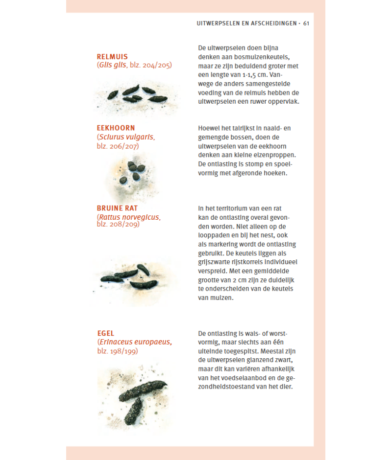 Het product liever eerst testen? Kom dan eens langs bij ons in de winkel