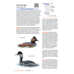 Handboek Vogels van Nederland KNNV