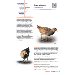 Handboek Vogels van Nederland KNNV