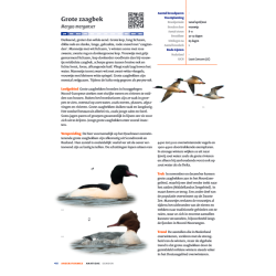 Handboek Vogels van Nederland KNNV